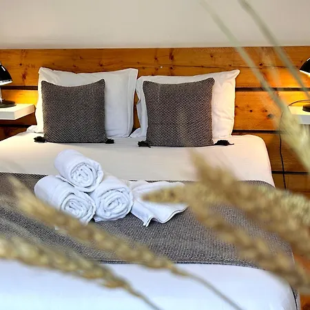 262 Baixa Guest house *